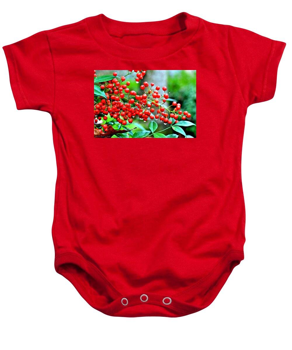 Berries Baby Onesie featuring the photograph Red Berries by Tara Potts