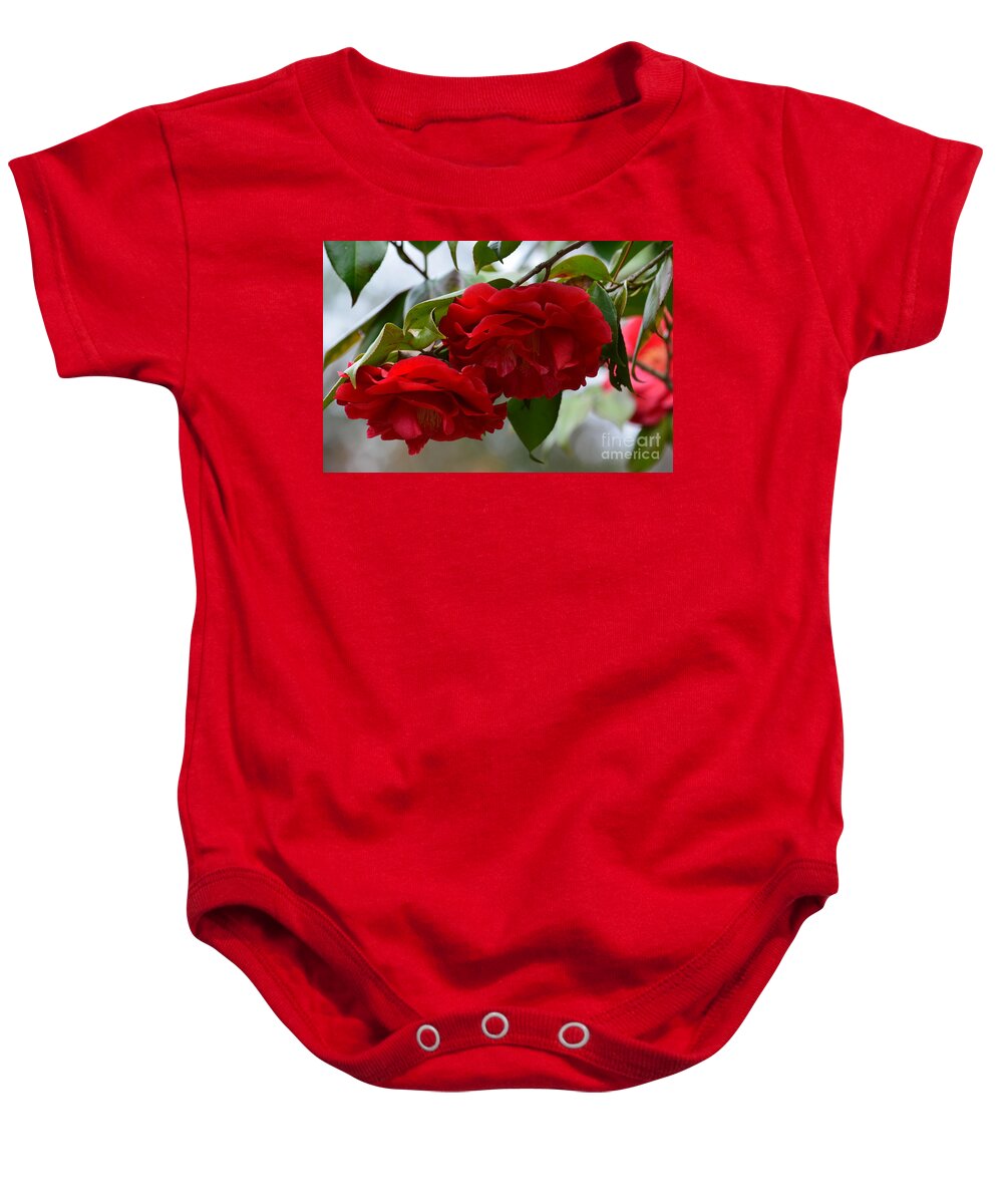 Red Camelias Baby Onesie featuring the photograph Red Camelias by Maria Urso
