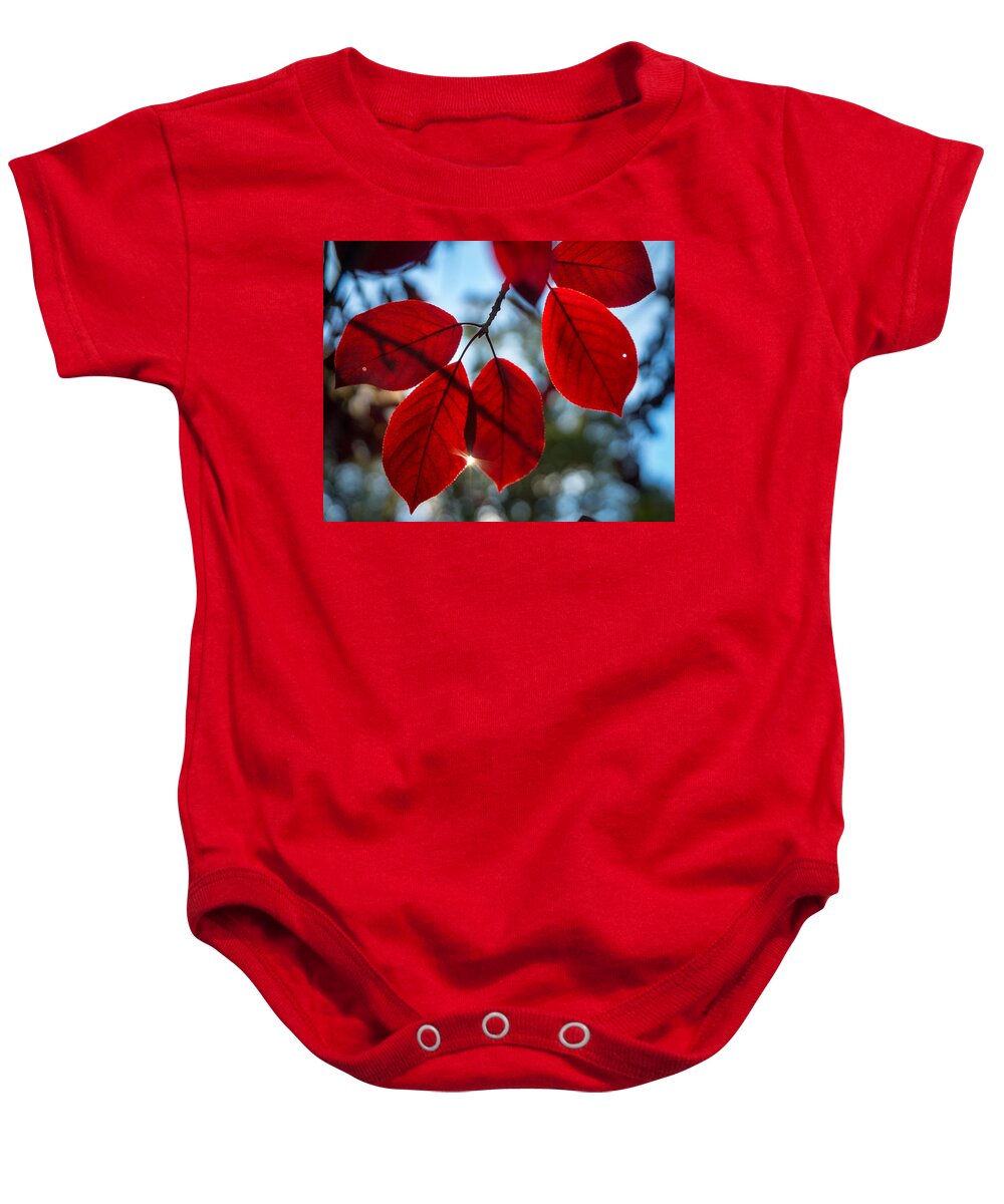 Fall Baby Onesie featuring the photograph Red Velvet by Bill Pevlor