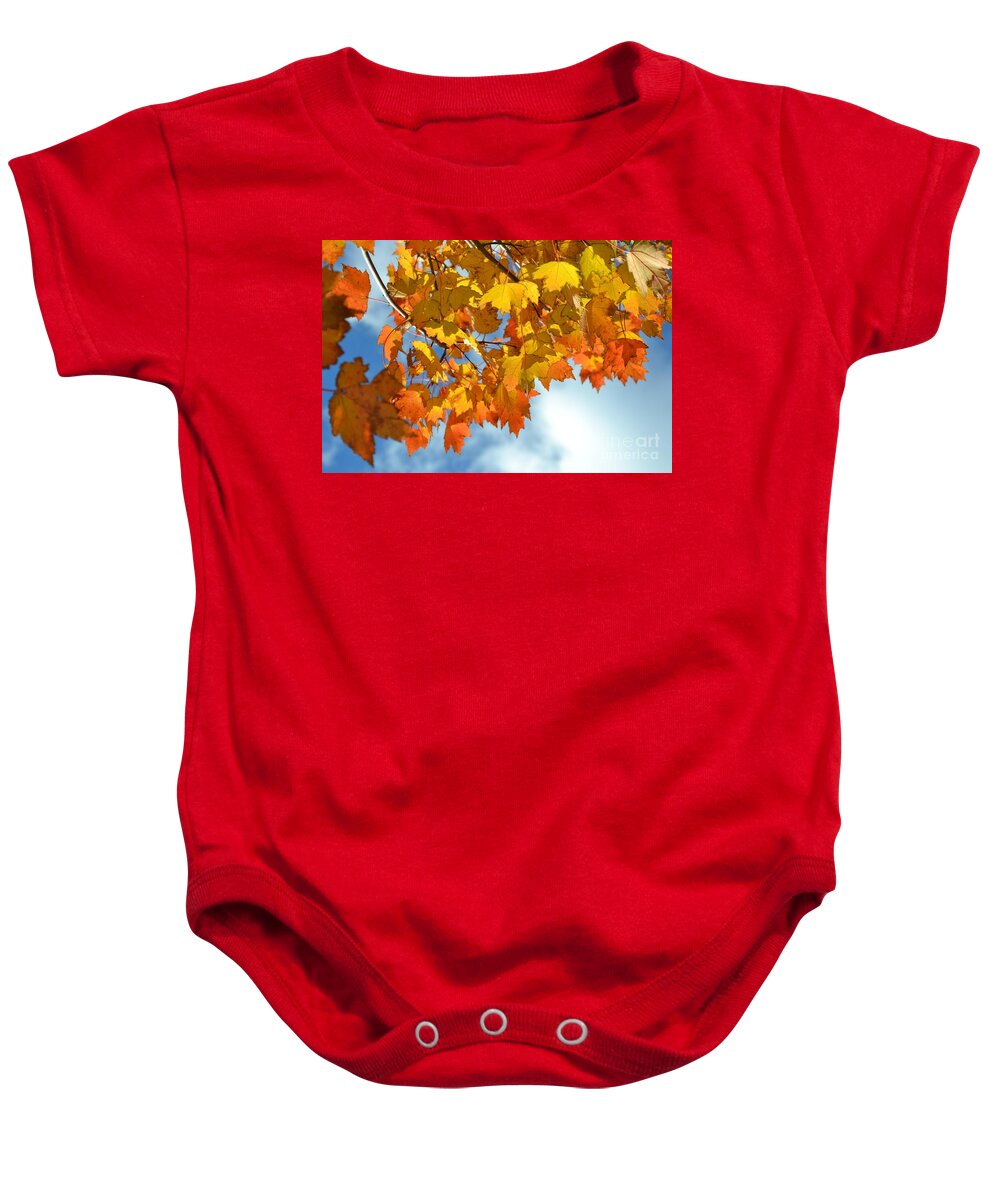 Fall Baby Onesie featuring the photograph Sunlight and Shadow - Autumn Leaves Two by Miriam Danar