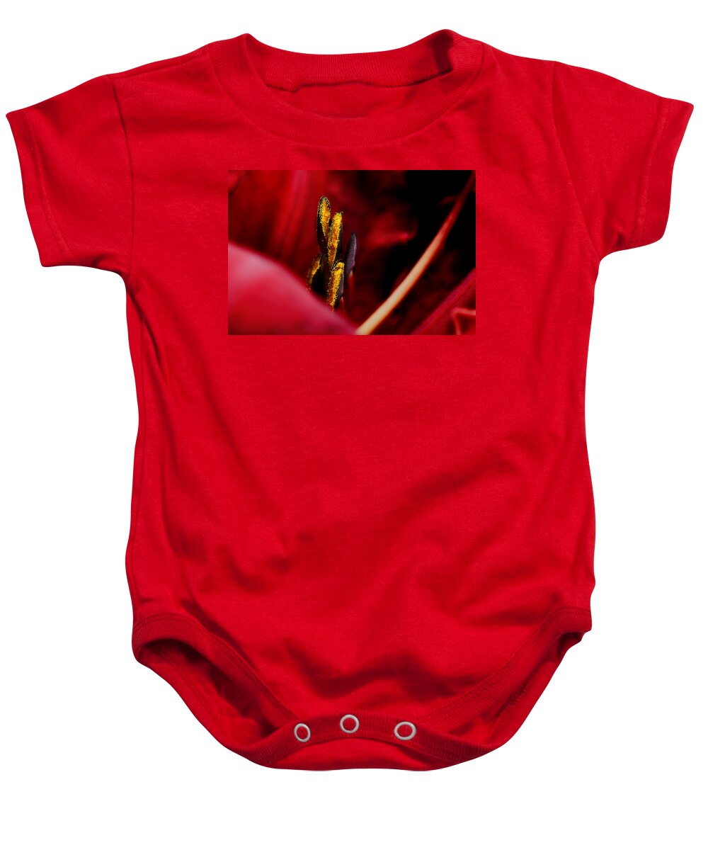 Scarlet Colored Lily Baby Onesie featuring the photograph The Insiders by Michael Eingle
