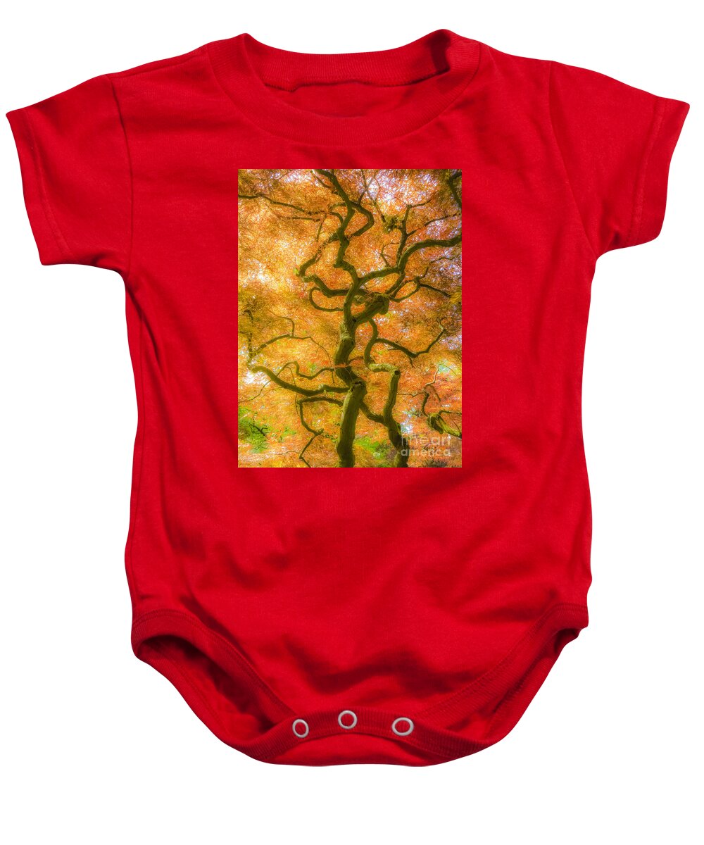 The Magic Forest Baby Onesie featuring the photograph The Magic Forest-15 by Casper Cammeraat