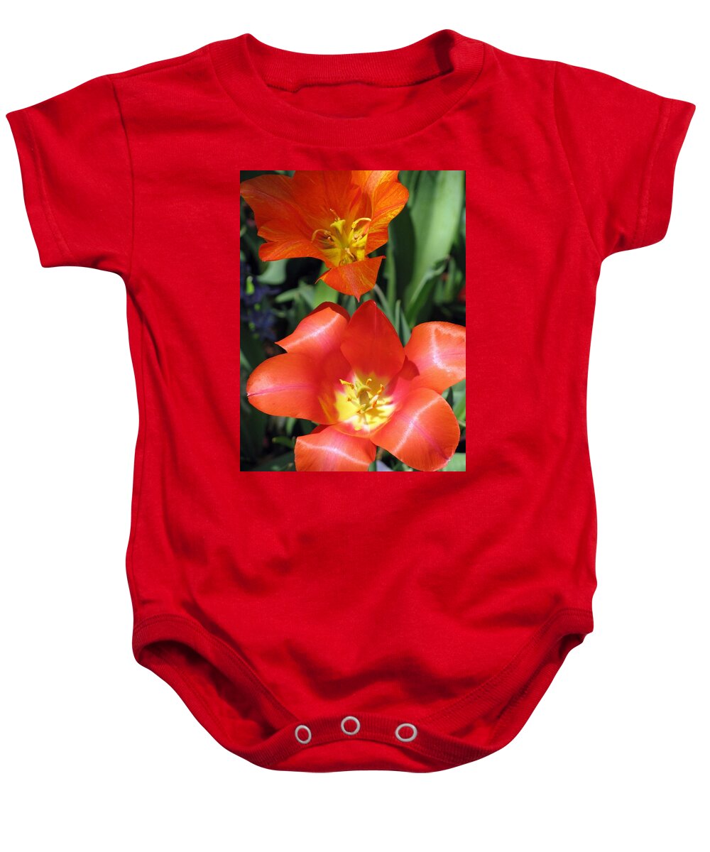 Tulip Baby Onesie featuring the photograph Tulips - Desire 03 by Pamela Critchlow
