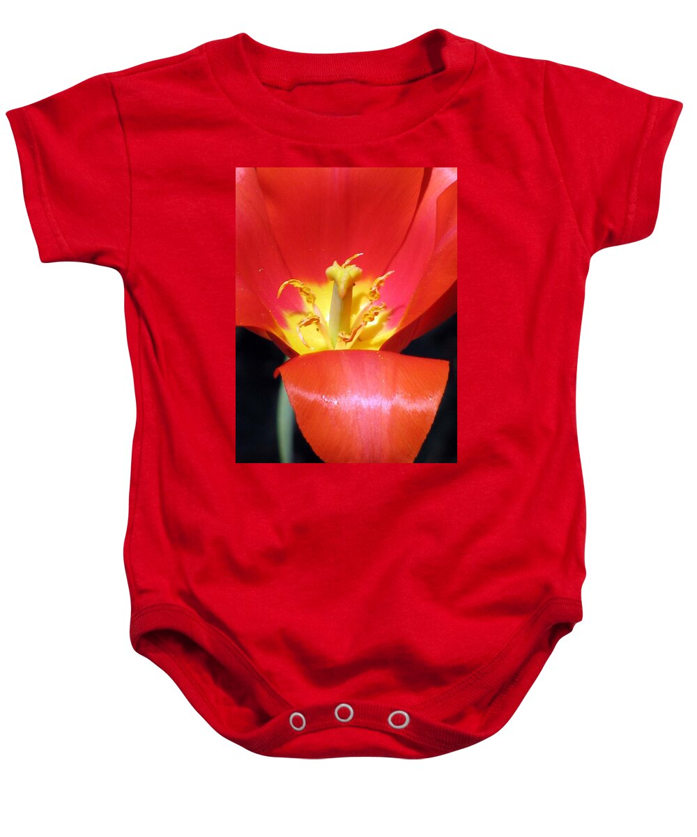 Tulip Baby Onesie featuring the photograph Tulips - Filled With Desire 08 by Pamela Critchlow