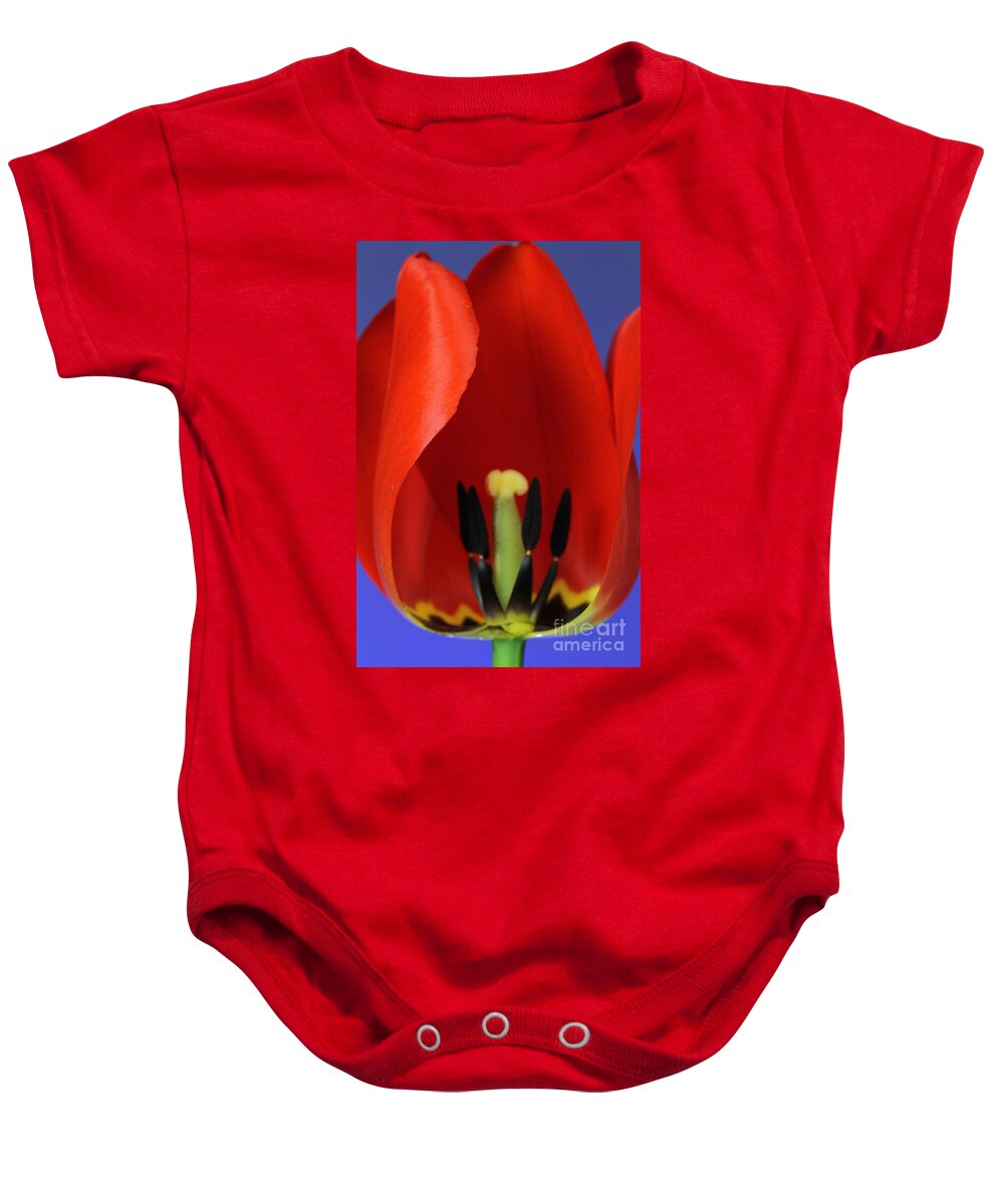 Pollen Baby Onesie featuring the photograph Stamen Of Tulip #3 by Photo Researchers, Inc.
