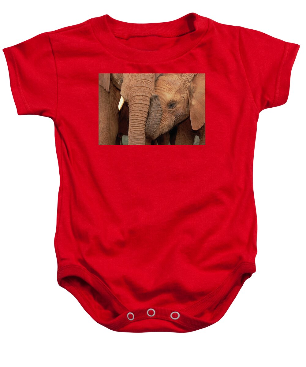 Mp Baby Onesie featuring the photograph African Elephant Loxodonta Africana #8 by Gerry Ellis
