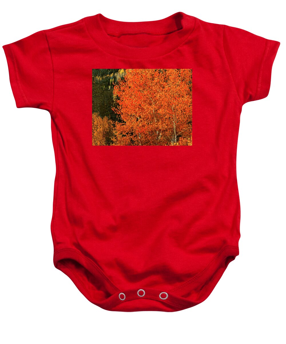 Autumn Splendor Baby Onesie featuring the digital art Autumn Splendor by Gary Baird
