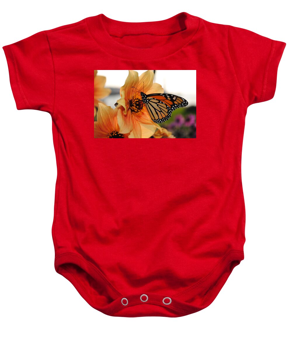  Baby Onesie featuring the photograph Colors In Sync by Michael Frank Jr