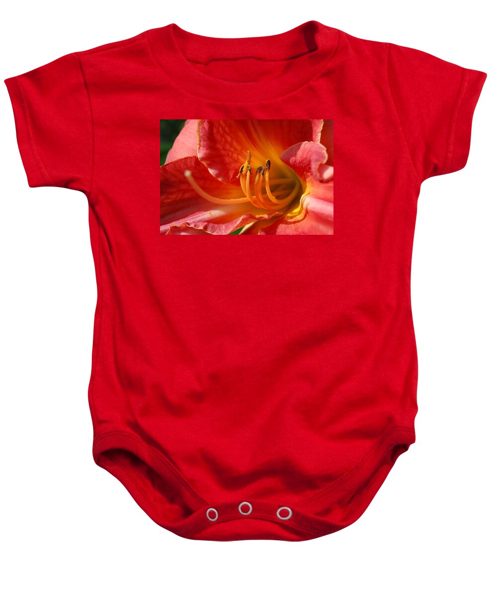 Daylilly Baby Onesie featuring the photograph Daylilly Close UP by Randy J Heath