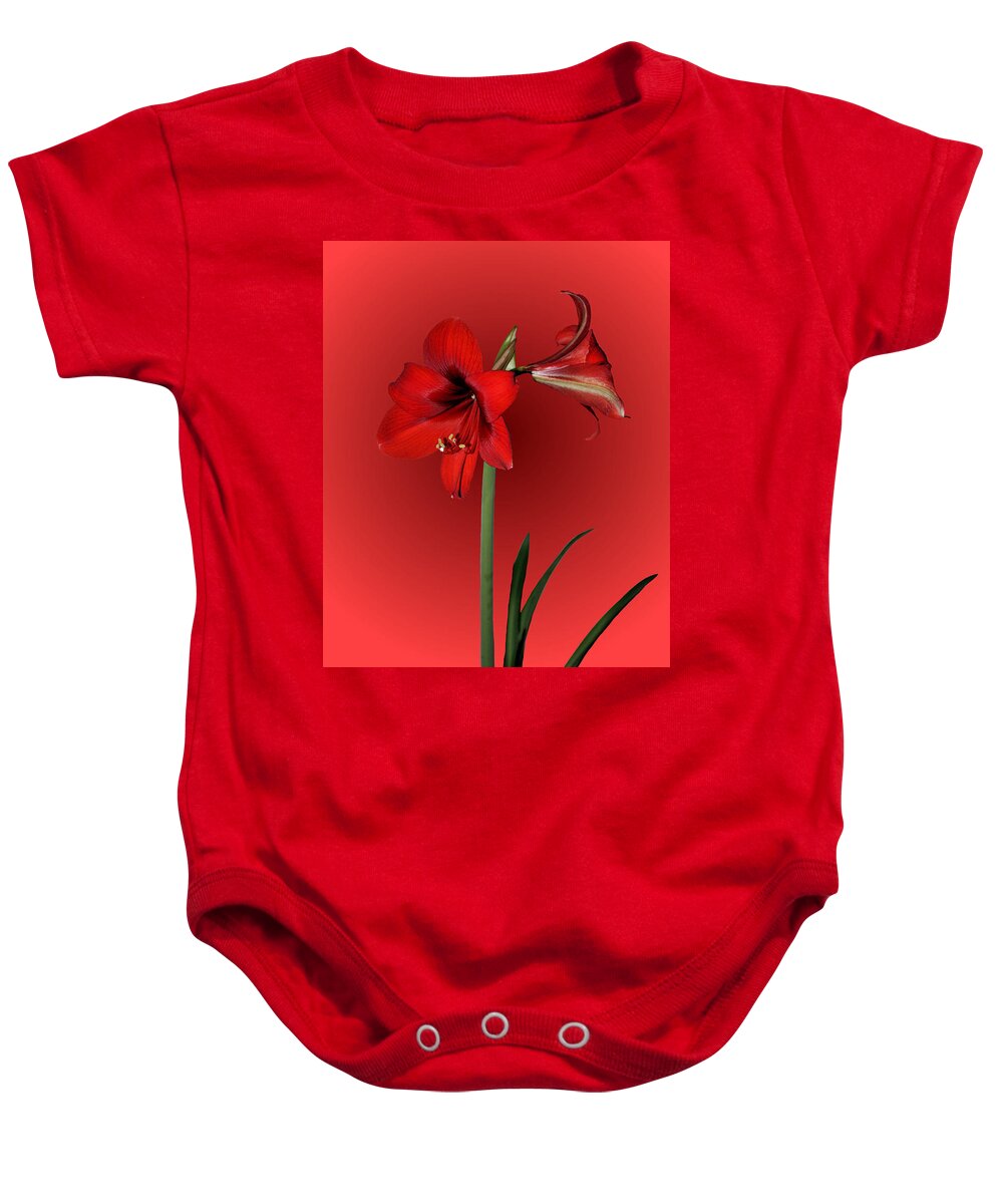 Amaryllis Baby Onesie featuring the photograph Lady in Red by Kristin Elmquist