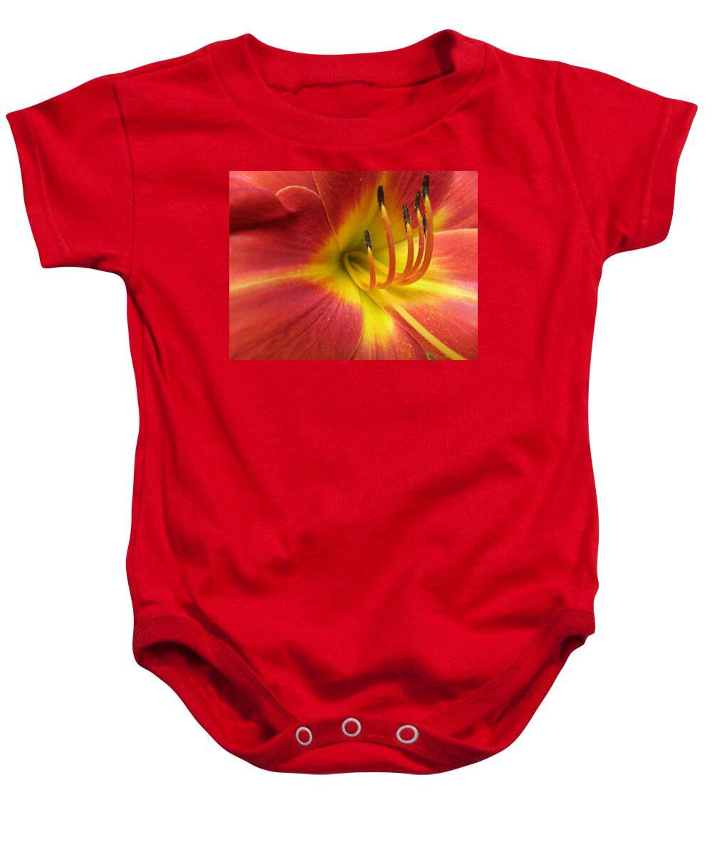 Day Lily Baby Onesie featuring the photograph With Great Detail by Kim Galluzzo