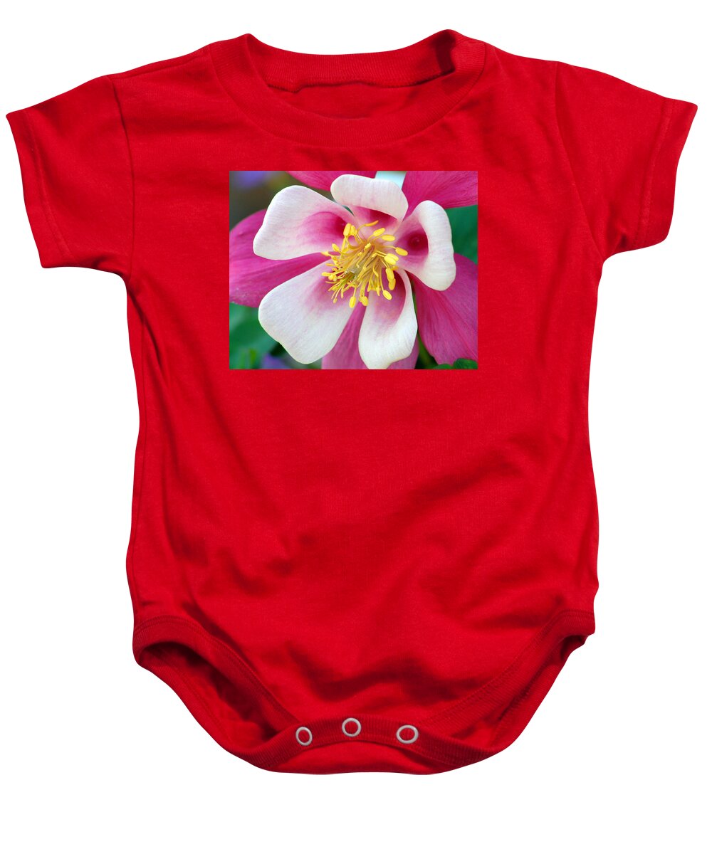 Columbine Baby Onesie featuring the photograph Columbine Flower 1 by Amy Fose