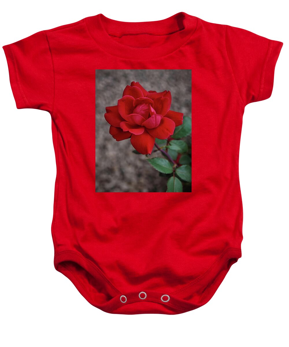 Rose Baby Onesie featuring the photograph The Rose #1 by Ernest Echols