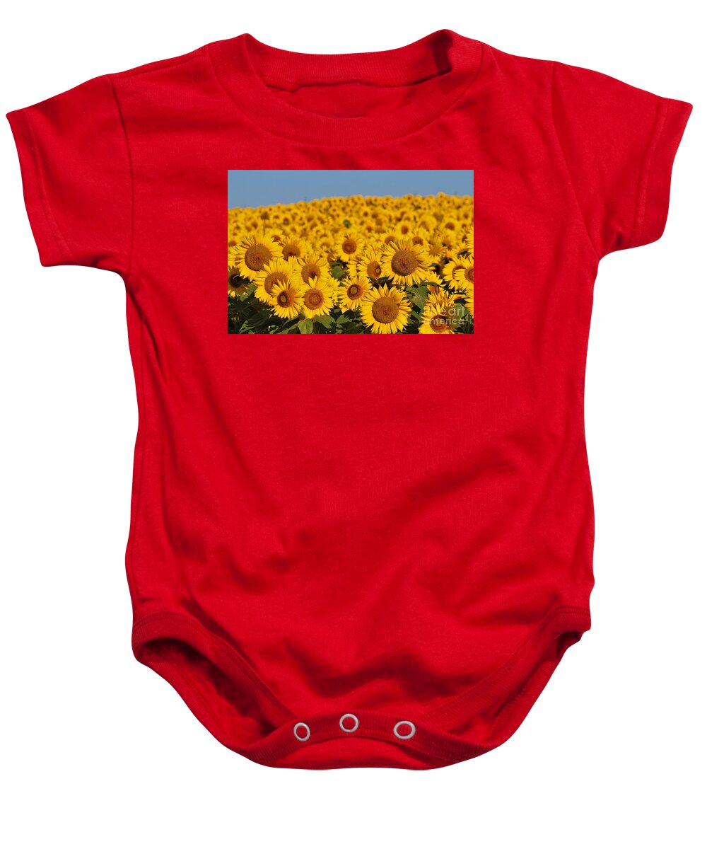 Sunflower Baby Onesie featuring the photograph Sunflowers #6 by Donn Ingemie