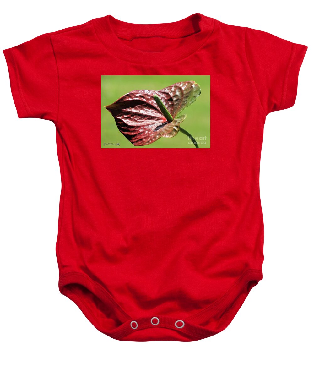 Mccombie Baby Onesie featuring the photograph Red Peace Lily #3 by J McCombie