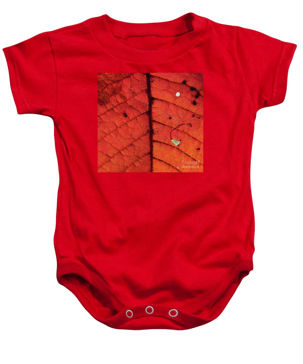 Autumn Leaf Baby Onesie featuring the photograph Abstract Autumn Leaf by Martin Howard
