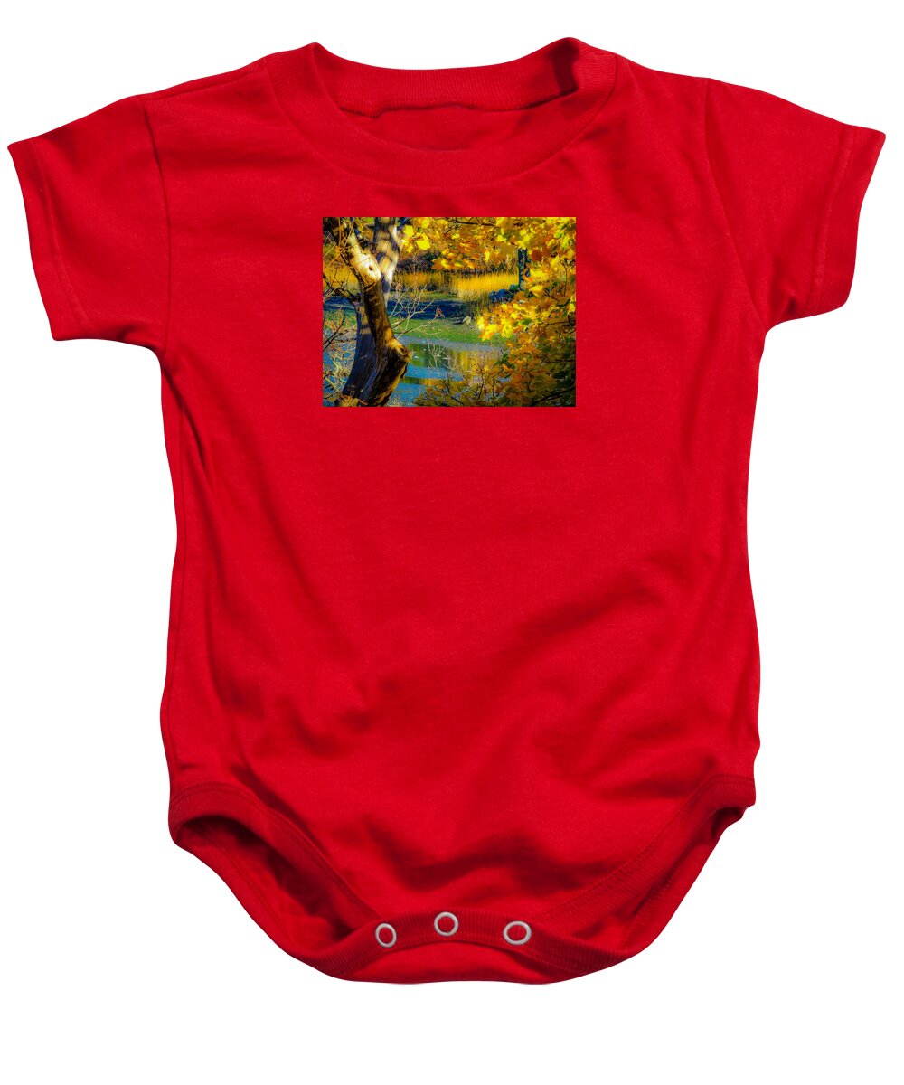 Landscapes Baby Onesie featuring the photograph As Fall Leaves by Glenn Feron