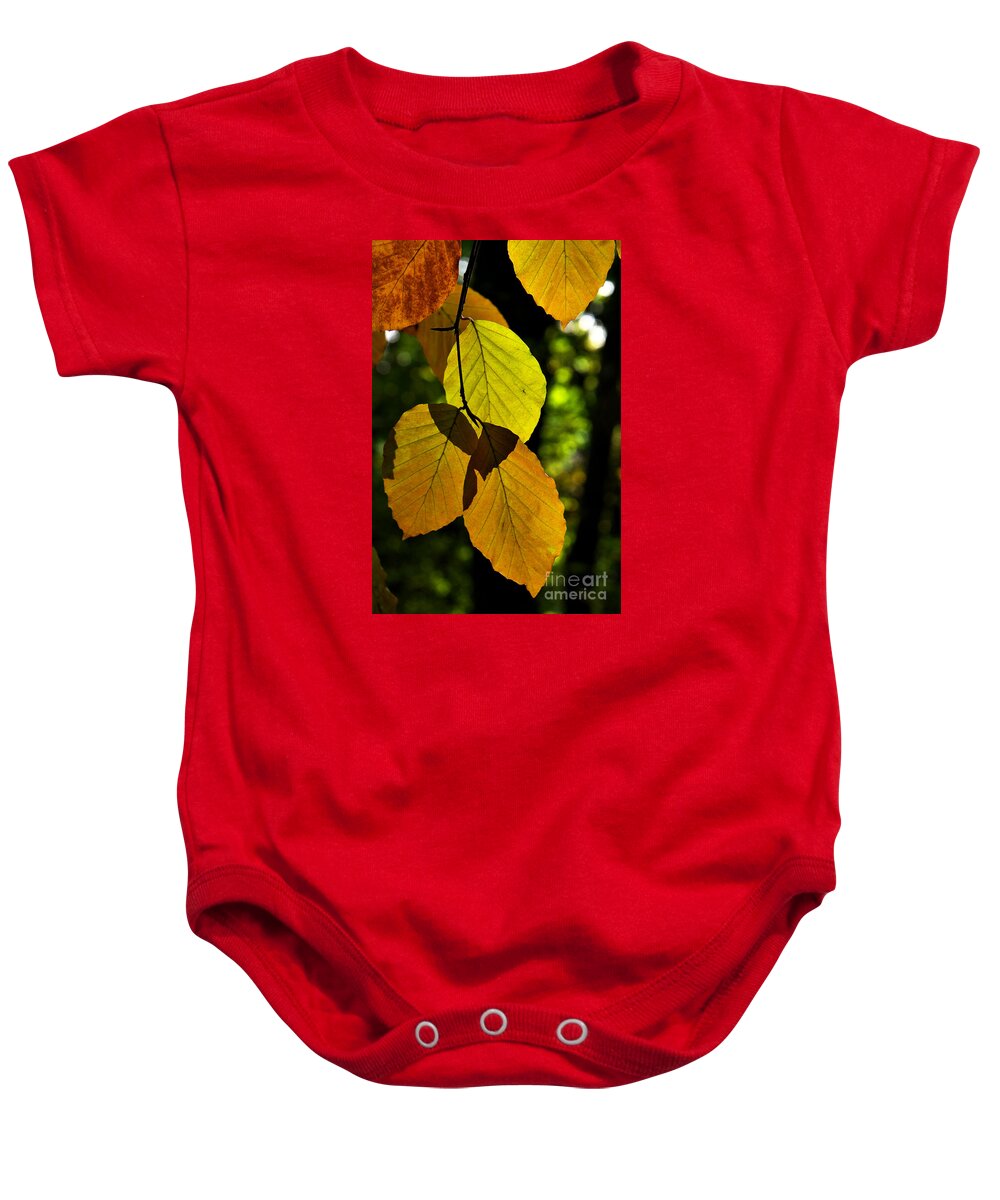 Woodland Baby Onesie featuring the photograph Autumn Beech Tree Leaves by Martyn Arnold