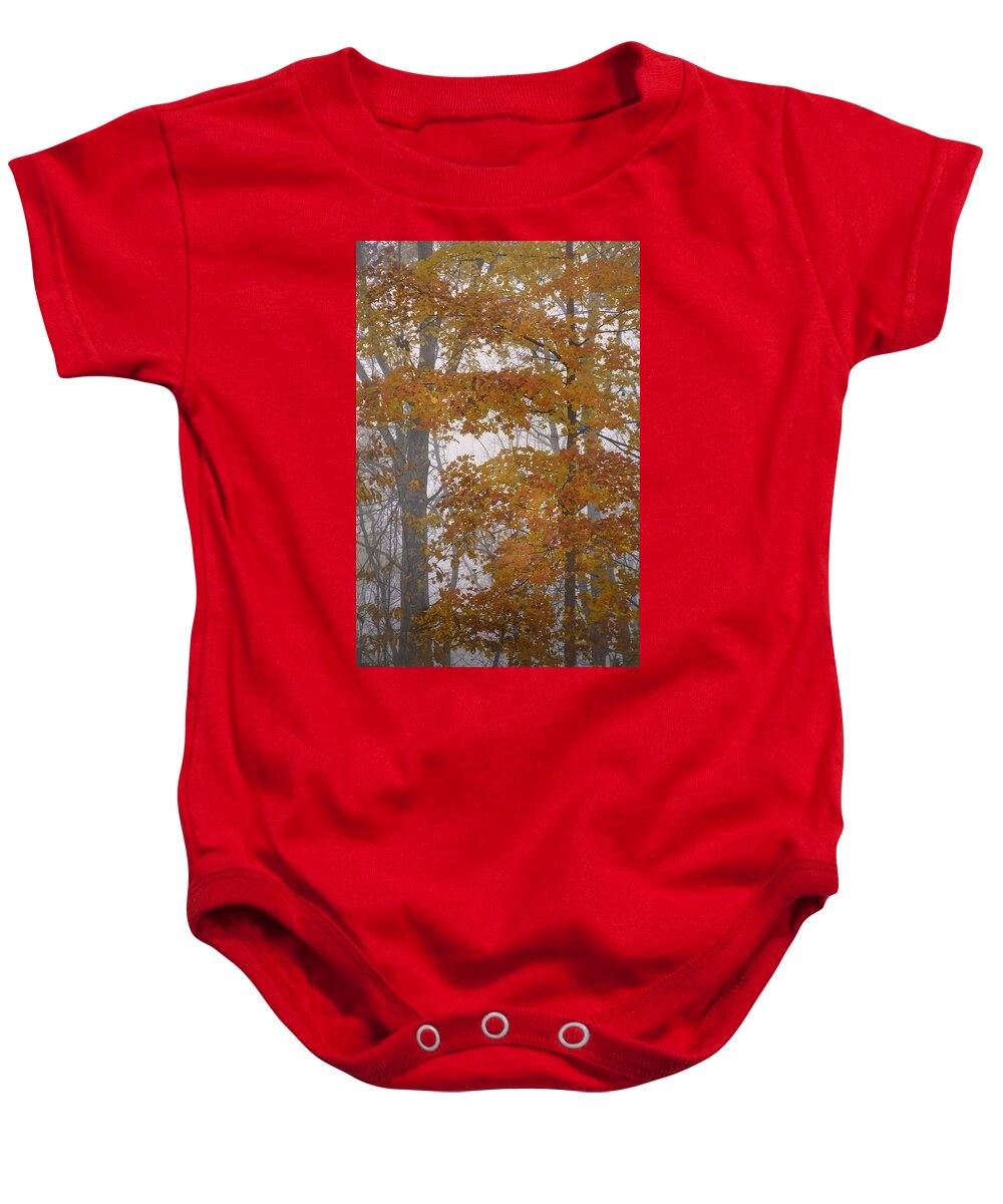 Autumn Baby Onesie featuring the photograph Autumn Tresses by Rob Travis