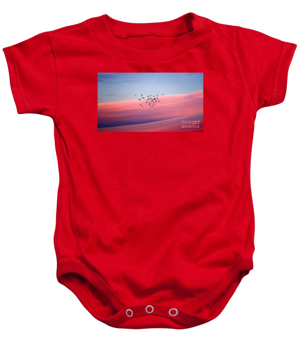 Air Baby Onesie featuring the photograph Birds migration by Anna Om