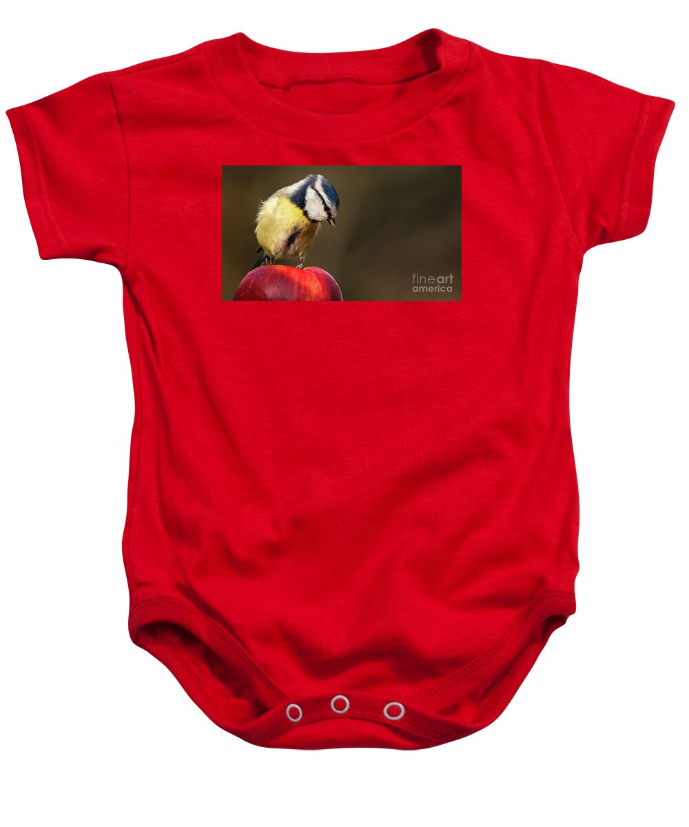 Bird Baby Onesie featuring the photograph Blue Tit Cyanistes caeruleus sat on a red apple looking down by Simon Bratt