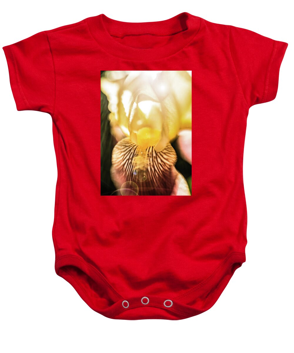 Iris Baby Onesie featuring the photograph Burgundy Dreams 3 by Pamela Taylor