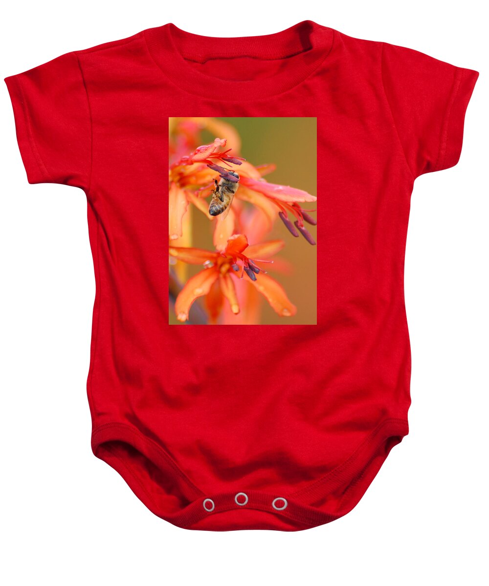 Bee Baby Onesie featuring the photograph Busy Bee by Amy Fose