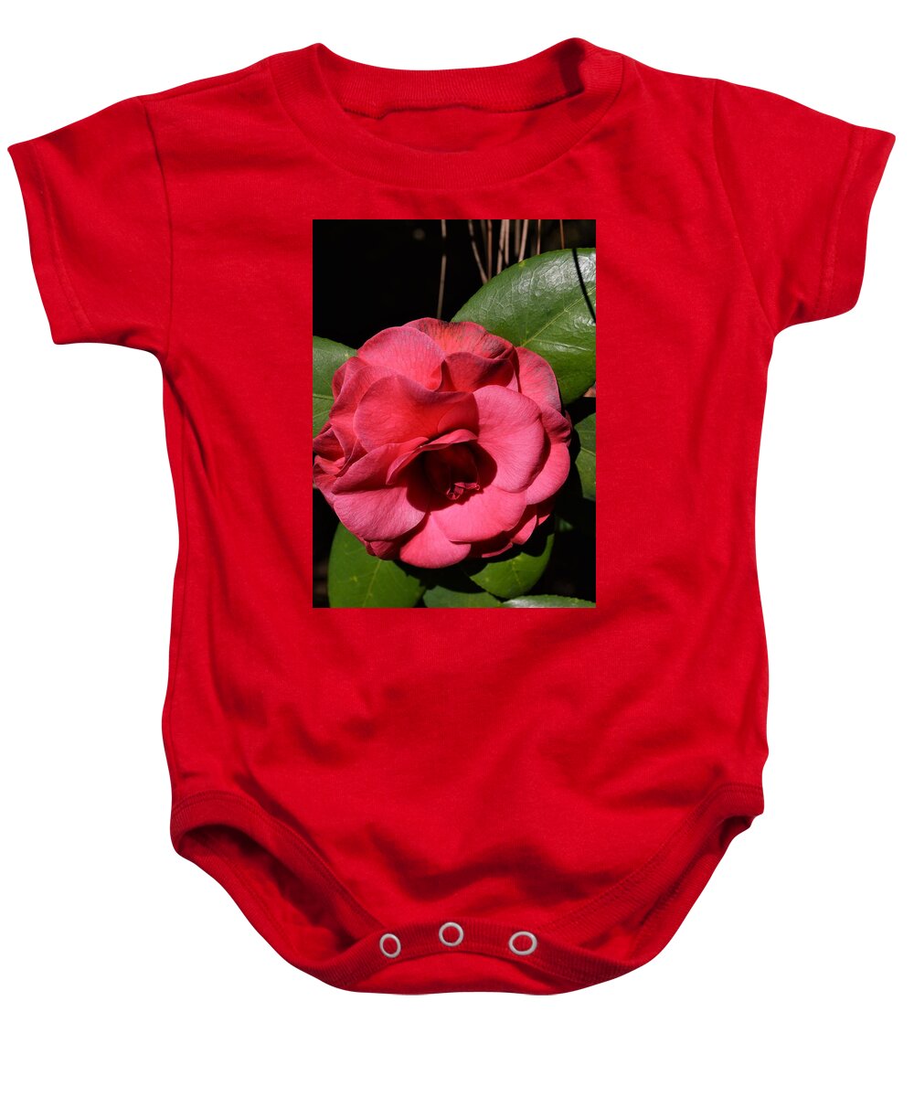 Camellia Bloom Baby Onesie featuring the photograph Camellia Bloom by Warren Thompson