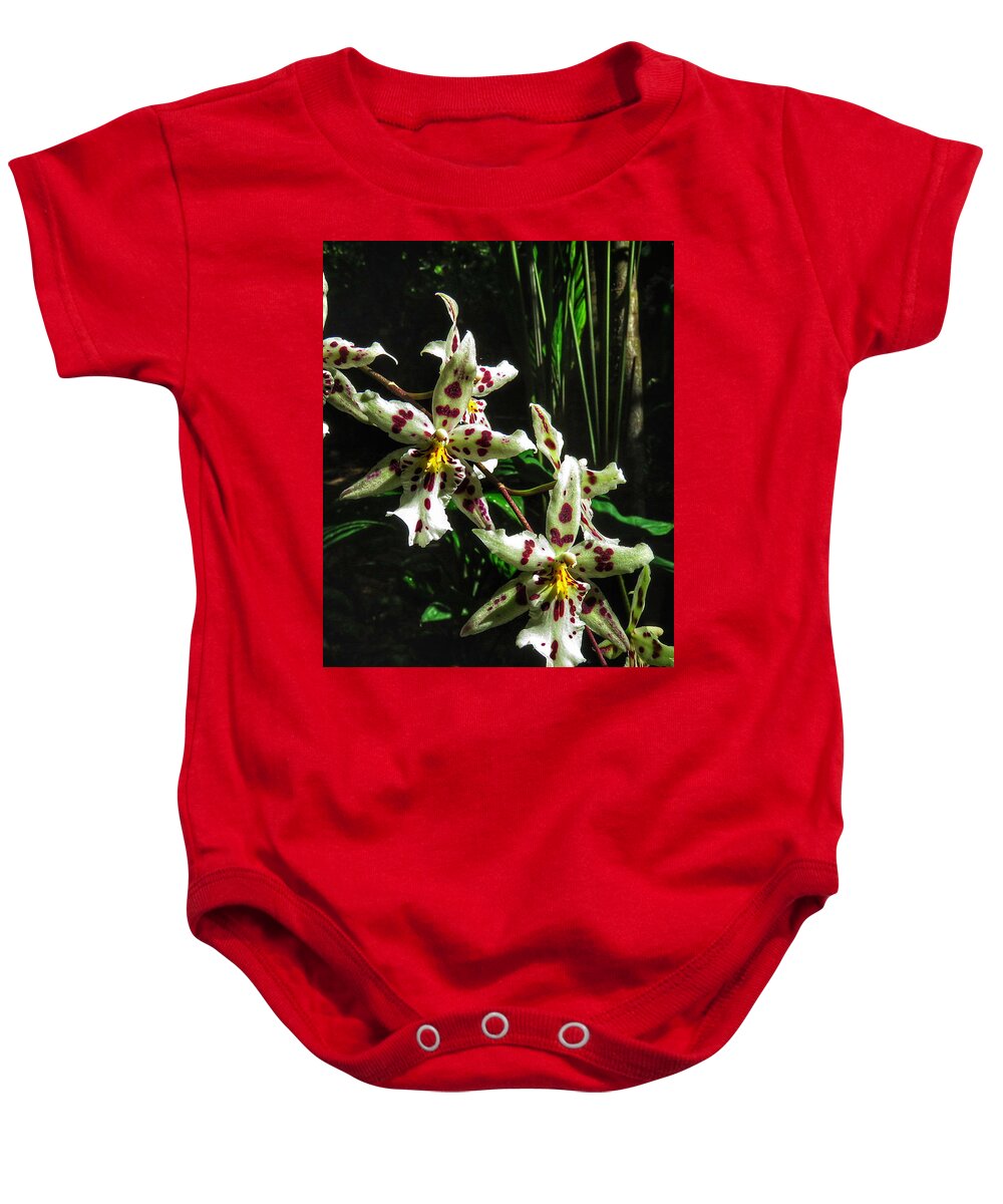 Botanical Gardens Baby Onesie featuring the photograph Clinging Orchids II by Kathi Isserman