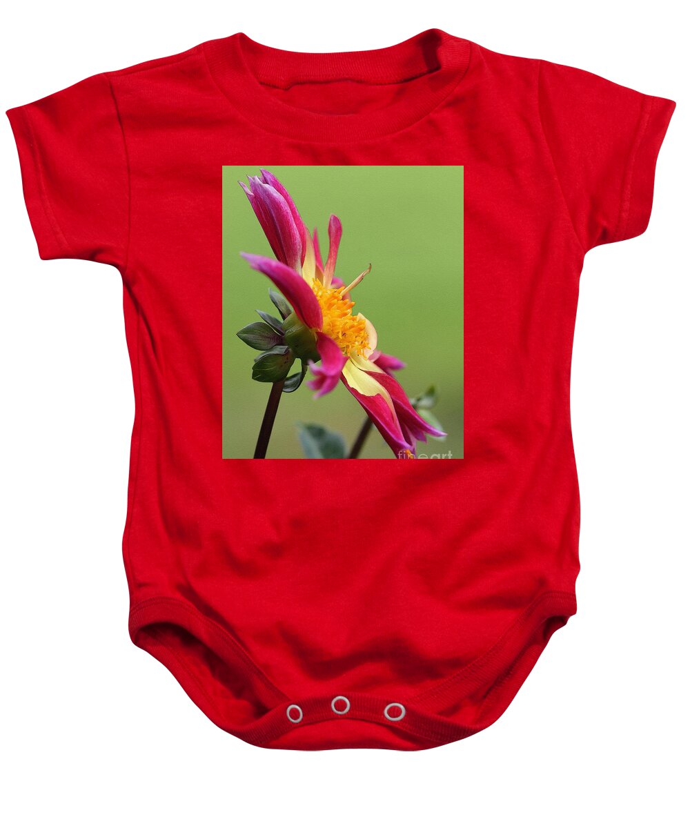 Mccombie Baby Onesie featuring the painting Dahlia named Thomas McNutty by J McCombie