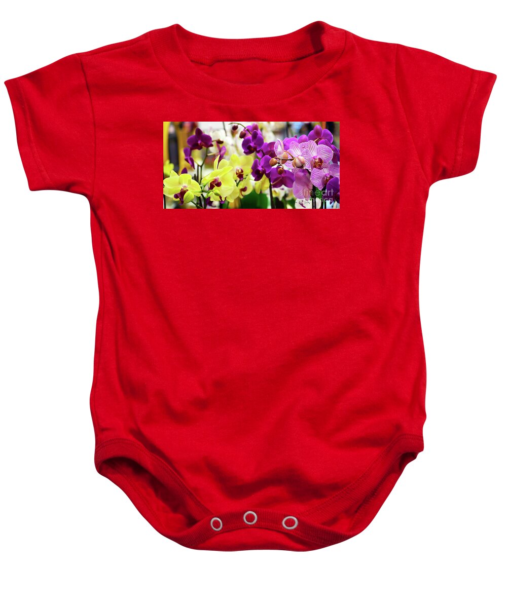 Decorative Baby Onesie featuring the photograph Decorative Orchids Still life C82418 by Mas Art Studio