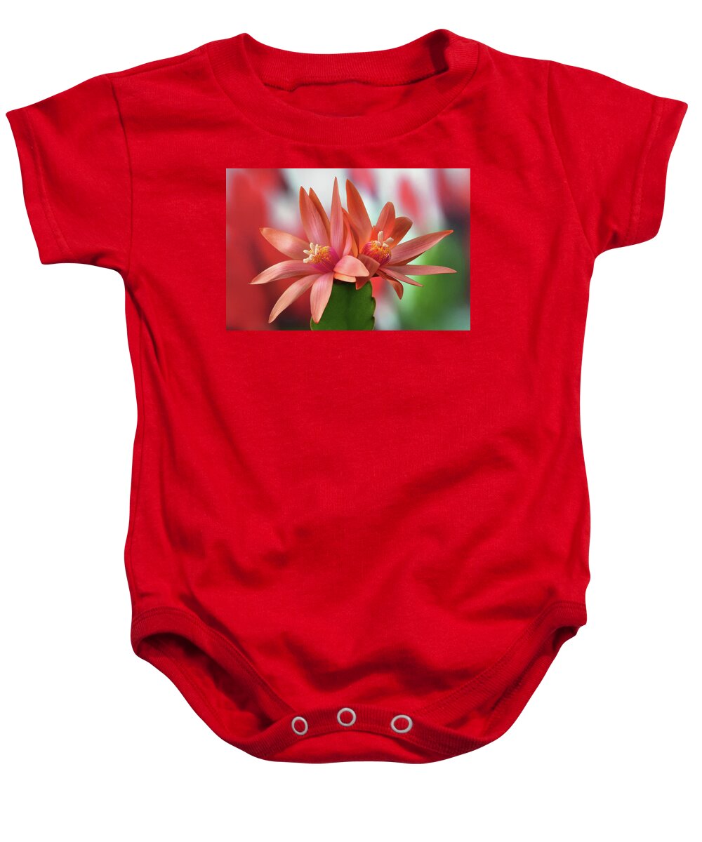 Easter Cactus Baby Onesie featuring the photograph Easter Cactus by Terence Davis