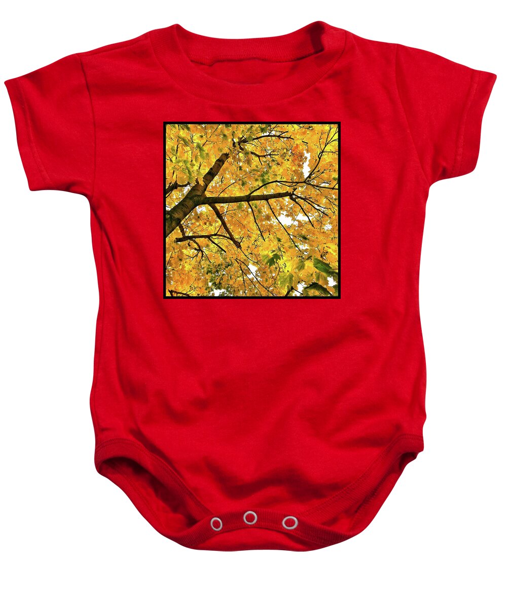 Fall Baby Onesie featuring the photograph Fall on William Street by Al Harden