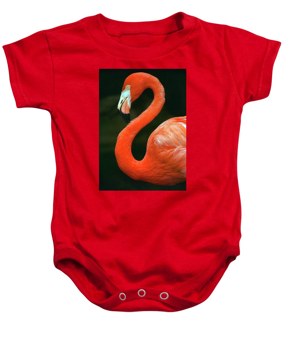 Flamingo Baby Onesie featuring the photograph Flamingo by Ted Keller