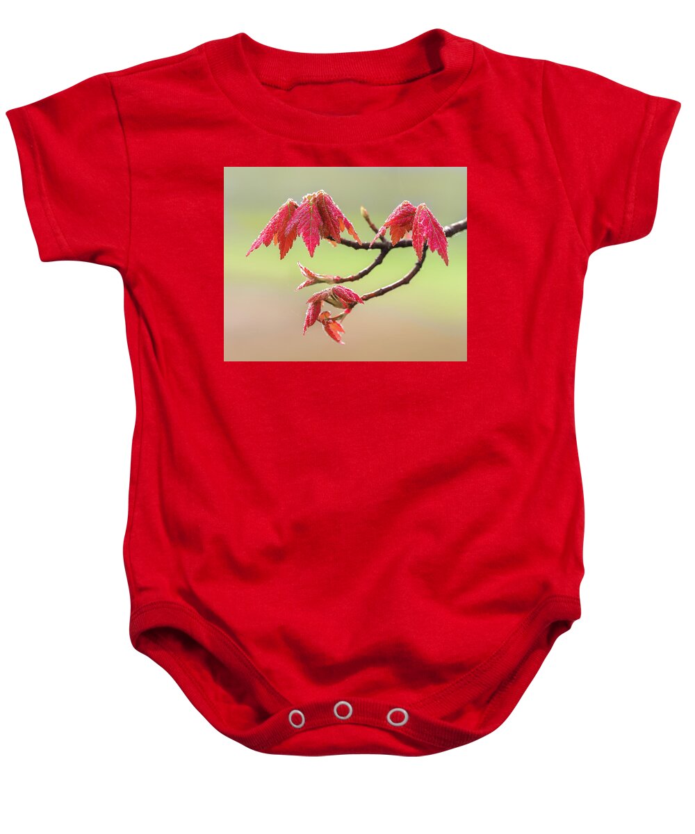 Fall Baby Onesie featuring the photograph Frosty Maple Leaves by Steve Zimic