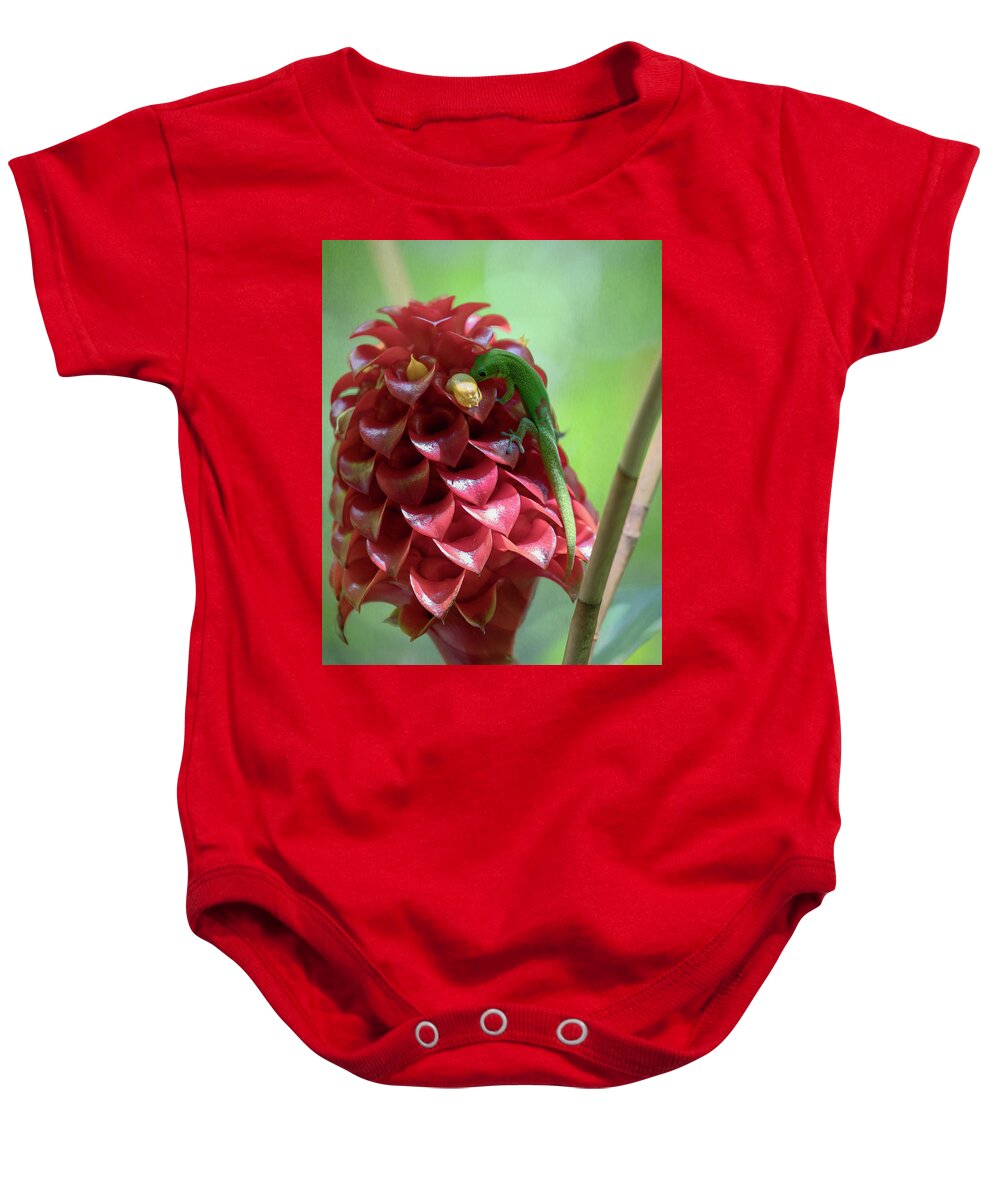 Gecko Baby Onesie featuring the photograph Gecko Hunting by Susan Rissi Tregoning