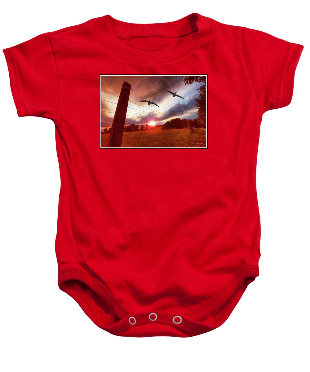Canada Geese Baby Onesie featuring the photograph Geese Fly Over a Field at Sunset by A Macarthur Gurmankin