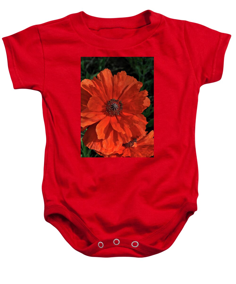 Flowers.poppy Baby Onesie featuring the photograph Giant Mountain Poppy by Ron Cline