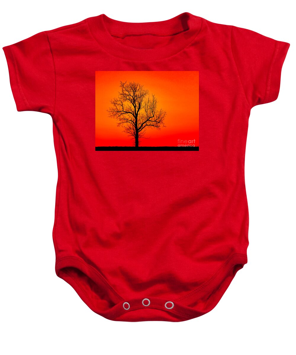 Tree Baby Onesie featuring the photograph Good Evening by Olivier Le Queinec