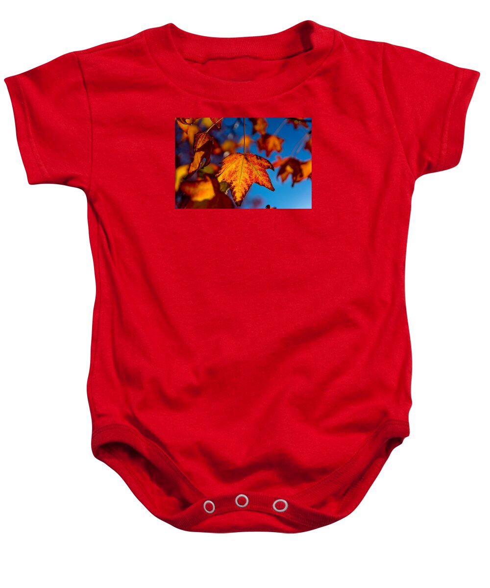 Fall Baby Onesie featuring the photograph Hanging On by Derek Dean