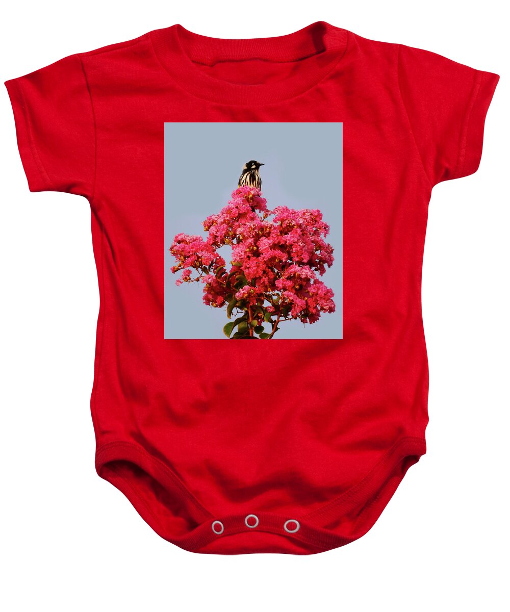Bird Baby Onesie featuring the photograph Henry In The Sweet Bush by Mark Blauhoefer