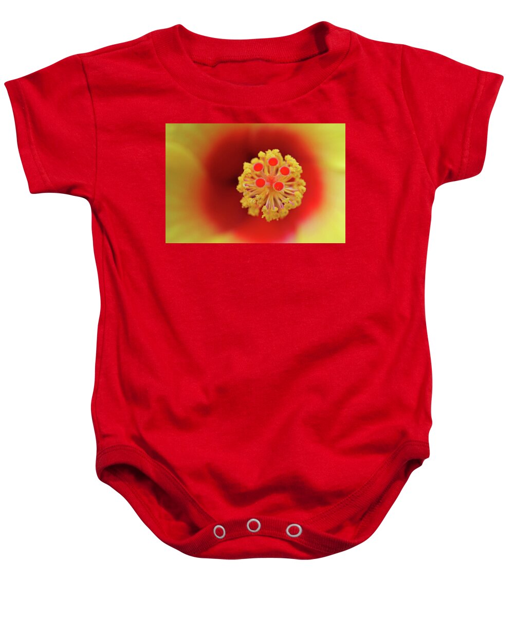 Abstract Baby Onesie featuring the photograph Hibiscus Flower by Juergen Roth