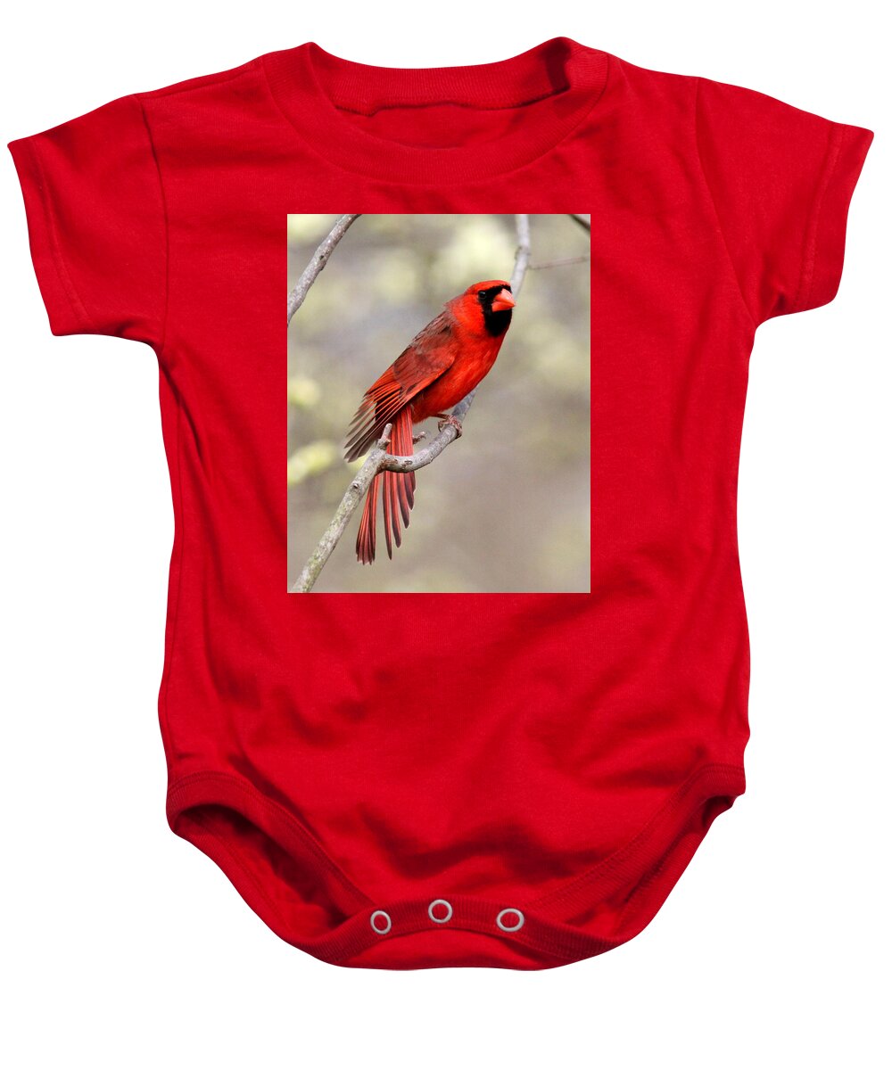 Northern Cardinal Baby Onesie featuring the photograph IMG_3137-011 - Northern Cardinal by Travis Truelove