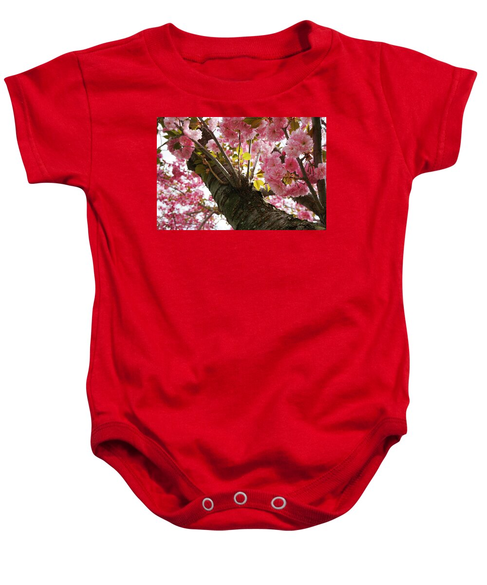 Flowers Baby Onesie featuring the photograph In Bloom by Christopher Brown