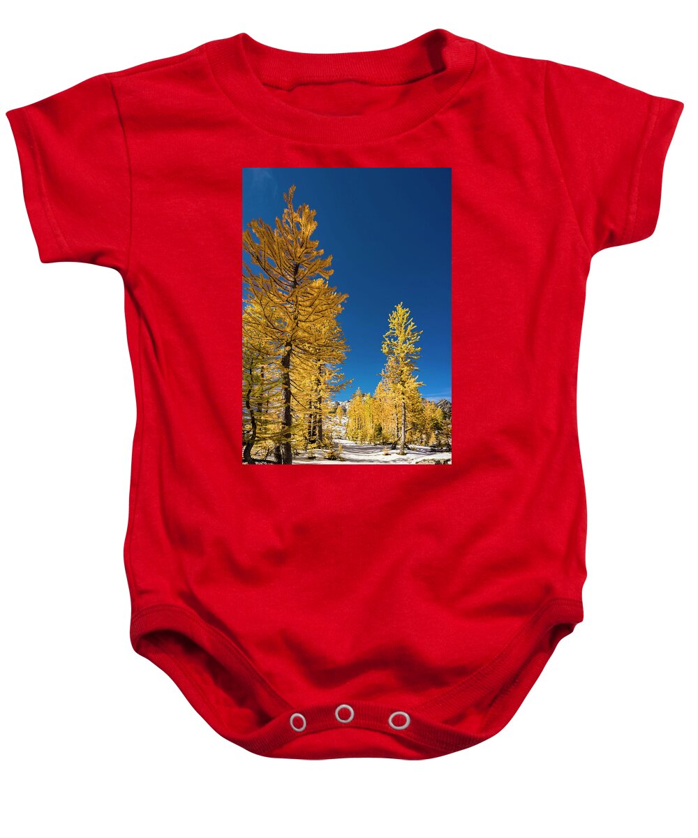 Evergreen Baby Onesie featuring the photograph Larches 4 by Pelo Blanco Photo