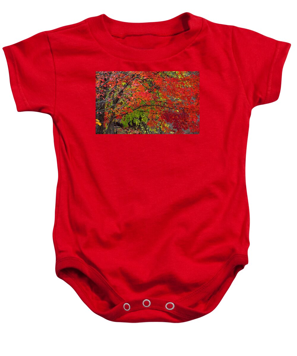 Layers Baby Onesie featuring the photograph Layers by Edward Smith