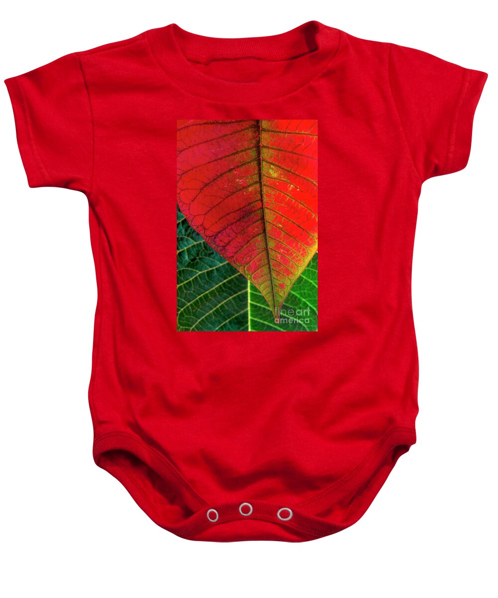 Autumn Baby Onesie featuring the photograph Leafs Macro by Carlos Caetano