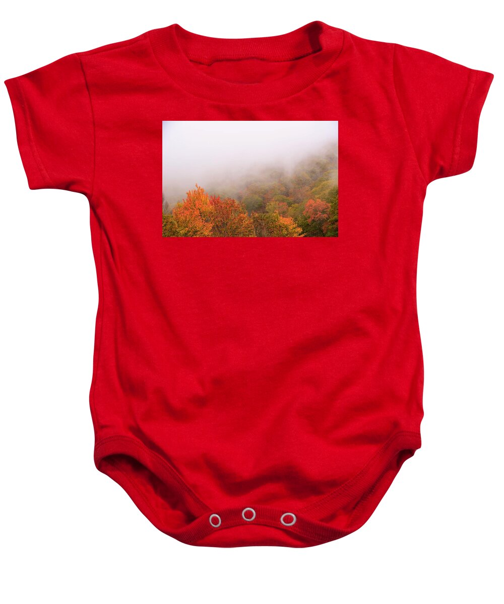 Leaf Color Baby Onesie featuring the photograph Leaves by Chuck Brown
