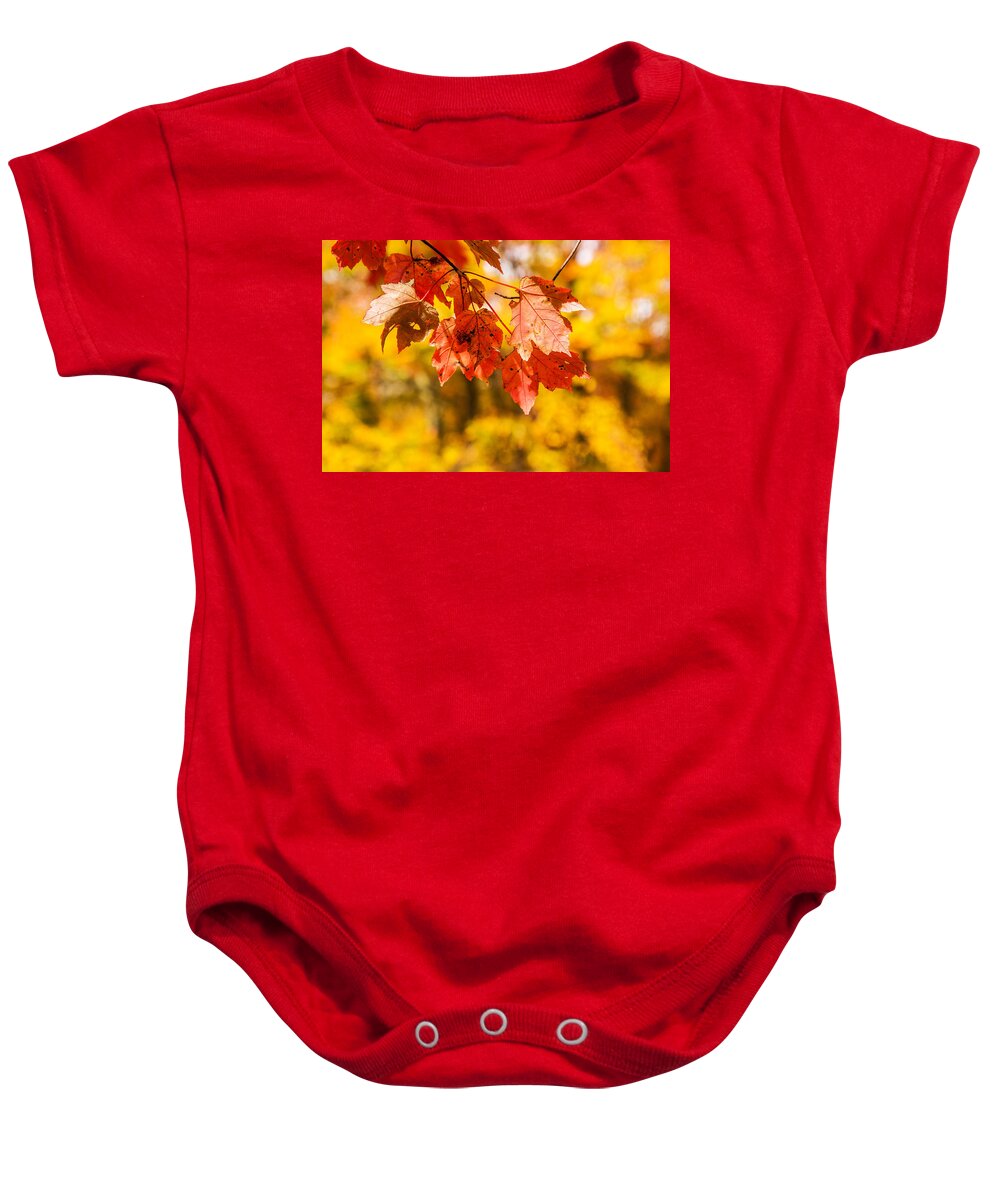 Autumns Yellow Baby Onesie featuring the photograph Leaves Of Autumn by Karol Livote