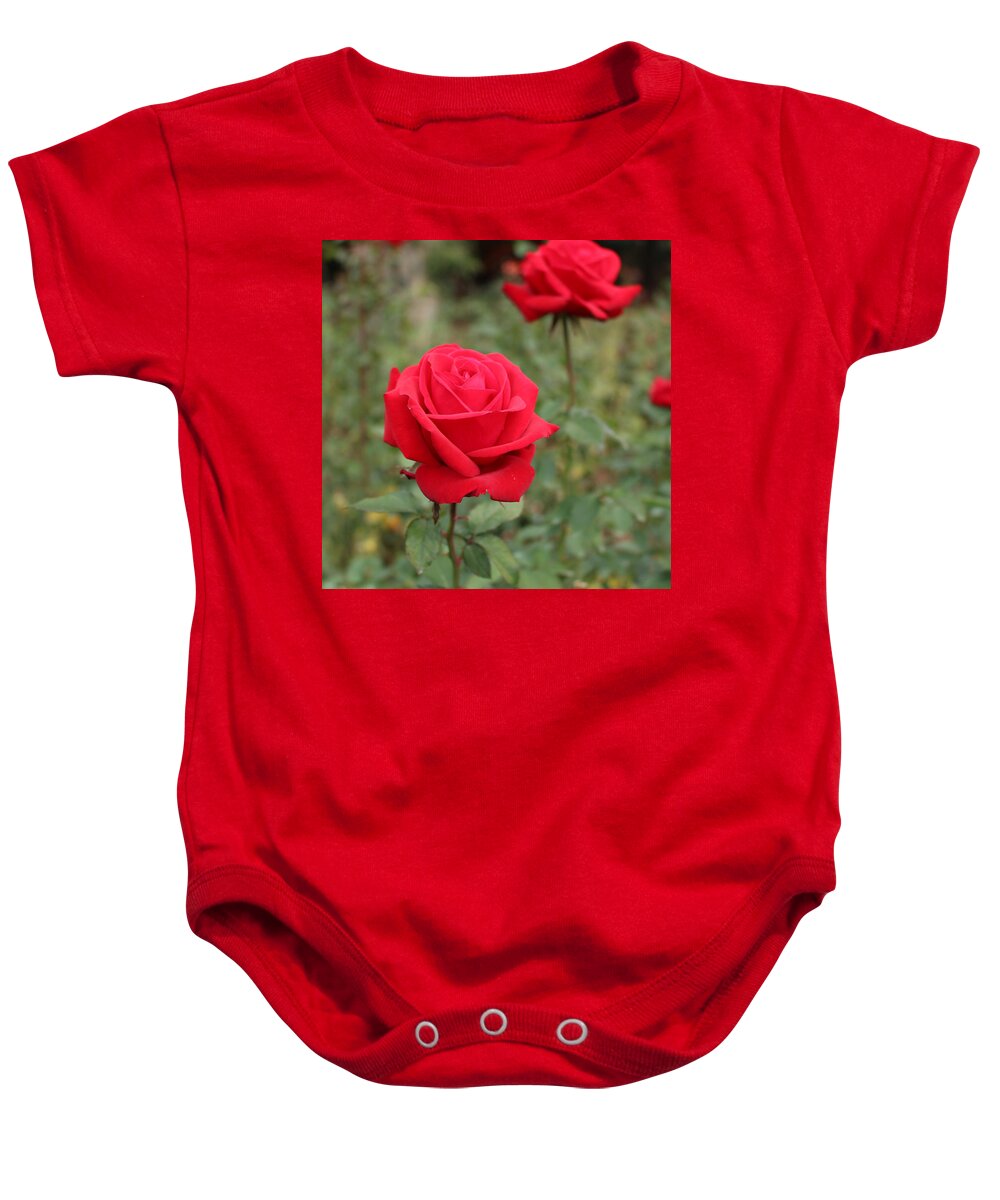 Rose Baby Onesie featuring the digital art Loving You in Front by Linda Ritlinger